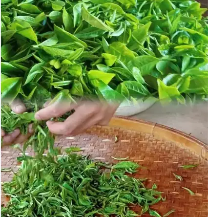 沪上探店聚会｜上海打卡地图｜夜游清单：解锁魔都最潮玩法，一天根本不够用！